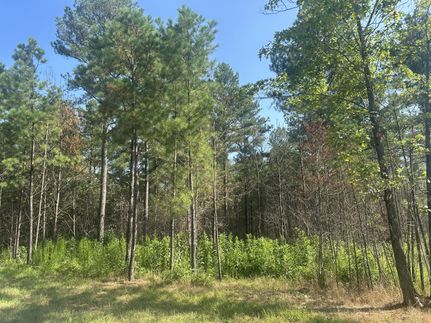Undeveloped Land for sale in Marion County, Tennessee