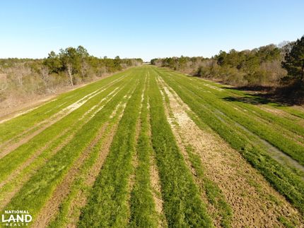Recreational Property for sale in Jefferson Davis Parish, Louisiana