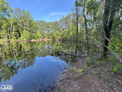 Farm Property in East Feliciana Parish, Louisiana