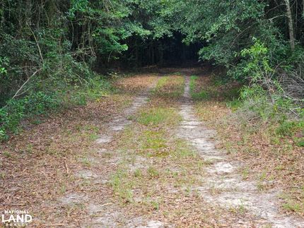 Farm Property for sale in Henry County, Alabama
