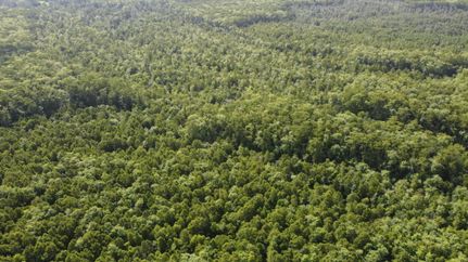 Ranch Property for sale in Livingston Parish, Louisiana