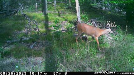 Ranch Property in Mecosta County, Michigan