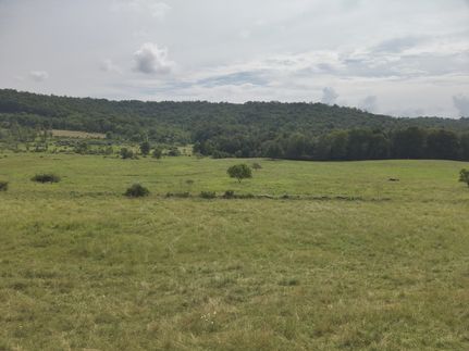 Ranch Property for sale in Wayne County, Pennsylvania