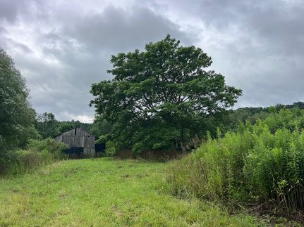 Undeveloped Land for sale in Chautauqua County, New York