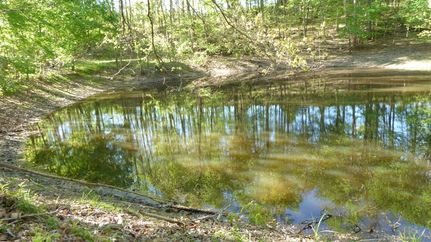 Timberland Property for sale in Franklin County, Virginia
