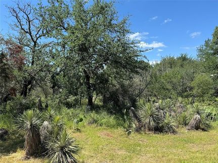 Recreational Property for sale in Burnet County, Texas