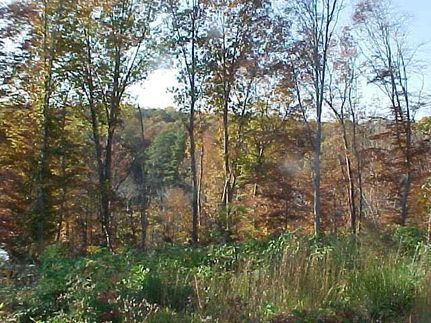 Timberland Property for sale in Richmond County, Virginia