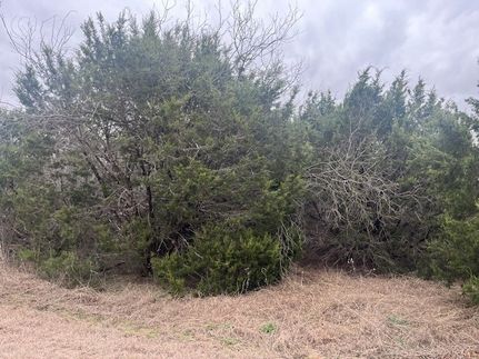 Ranch Property for sale in Hill County, Texas