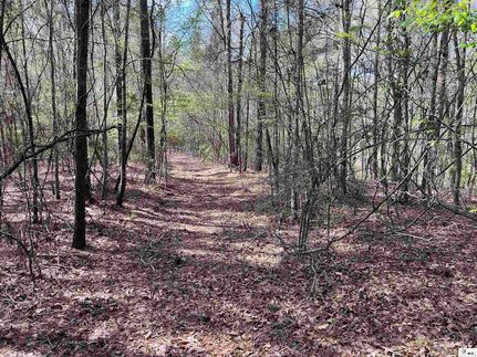 Farm Property for sale in Ouachita Parish, Louisiana