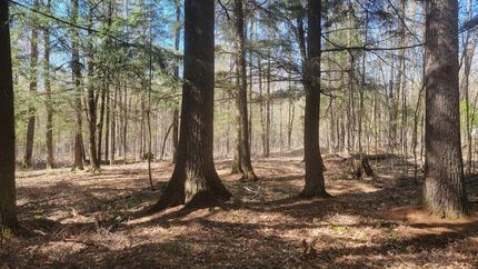 Property for sale in Price County, Wisconsin