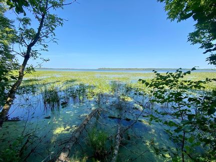 Ranch Property for sale in Beltrami County, Minnesota