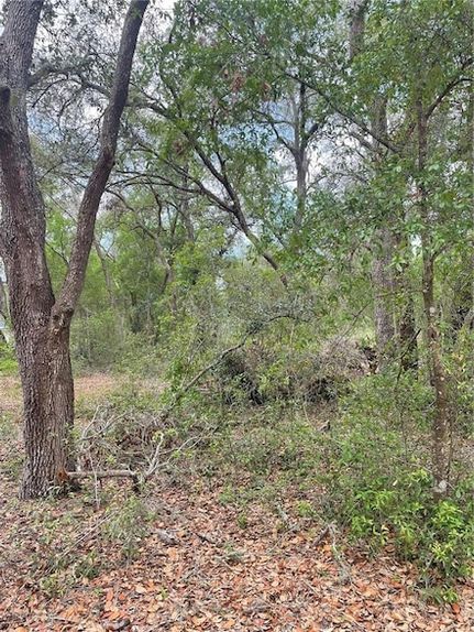 Timberland Property for sale in Lake County, Florida