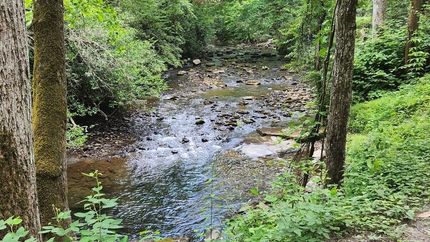 Farm Property for sale in Polk County, Tennessee