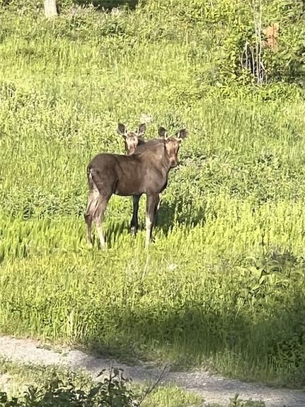 Recreational Property for sale in Lewis and Clark County, Montana