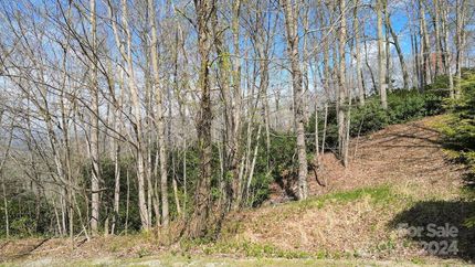 Undeveloped Land for sale in Henderson County, North Carolina
