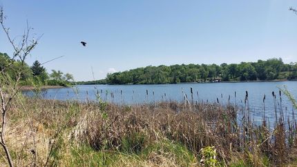 Farm Property for sale in Otter Tail County, Minnesota