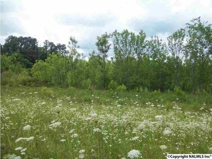 Farm Property for sale in Morgan County, Alabama