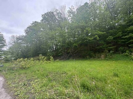Farm Property for sale in Washington County, Vermont