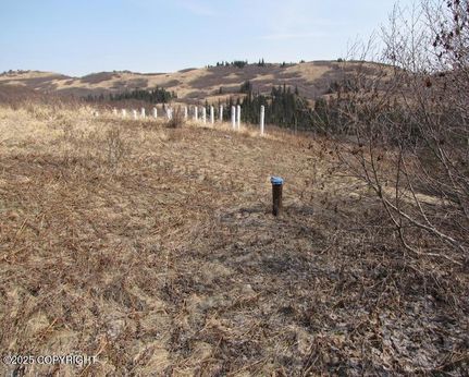 Ranch Property for sale in Kenai Peninsula Borough, Alaska