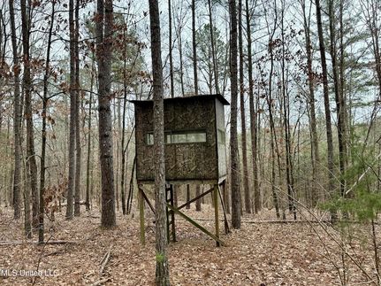 Farm Property for sale in Marshall County, Mississippi