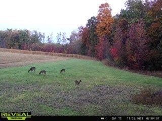 Ranch Property for sale in Coffee County, Tennessee