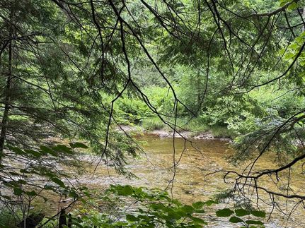Farm Property for sale in Windham County, Vermont