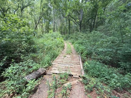 Timberland Property for sale in Cullman County, Alabama