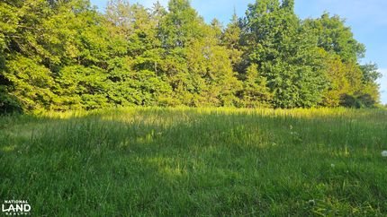 Ranch Property for sale in Searcy County, Arkansas