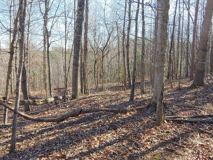 Farm Property for sale in Franklin County, Virginia
