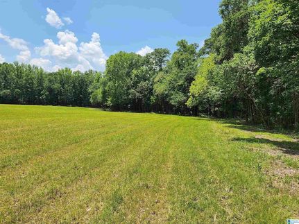 Undeveloped Land for sale in Shelby County, Alabama