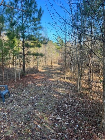 Farm Property for sale in Hot Spring County, Arkansas