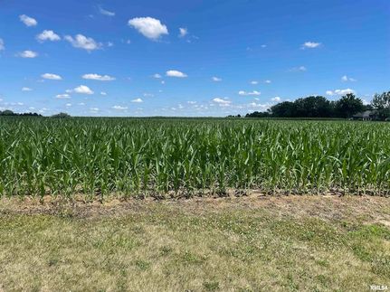 Undeveloped Land for sale in Sangamon County, Illinois