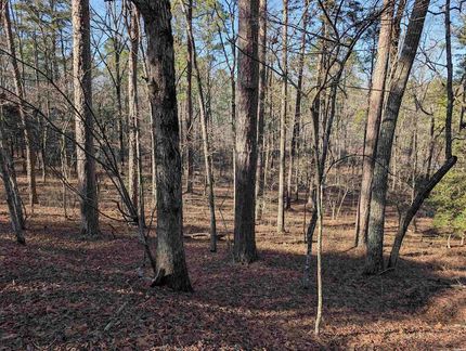 Farm Property for sale in Saline County, Arkansas
