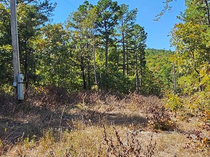 Timberland Property for sale in Pushmataha County, Oklahoma