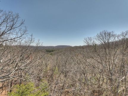Undeveloped Land for sale in Fannin County, Georgia