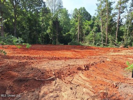 Ranch Property for sale in Simpson County, Mississippi