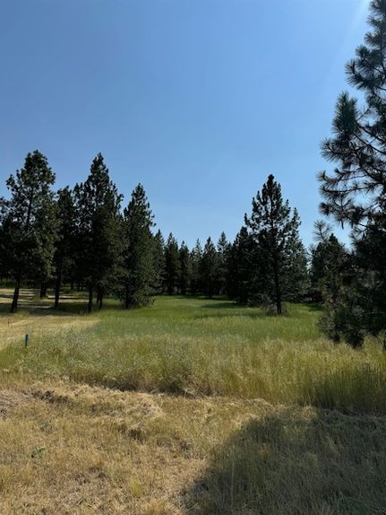 Farm Property for sale in Lincoln County, Washington