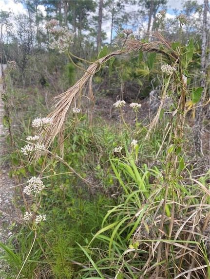 Ranch Property for sale in Collier County, Florida
