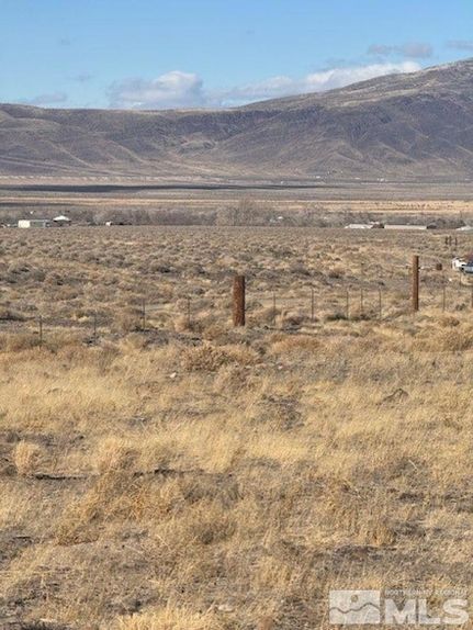 Undeveloped Land for sale in Lyon County, Nevada