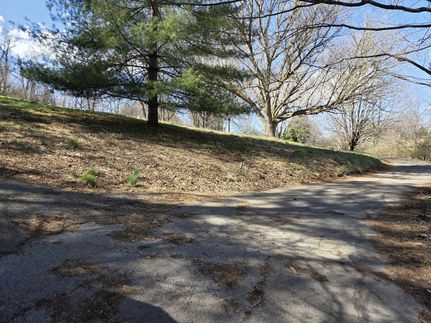 Undeveloped Land for sale in Sullivan County, Tennessee