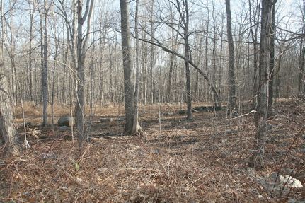 Ranch Property for sale in Tolland County, Connecticut
