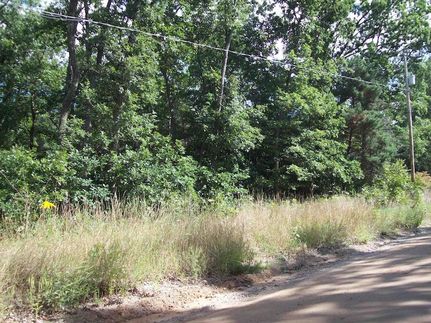 Ranch Property for sale in Clare County, Michigan