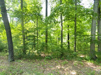 Farm Property for sale in Hampshire County, West Virginia