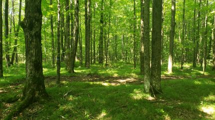 Ranch Property for sale in Price County, Wisconsin