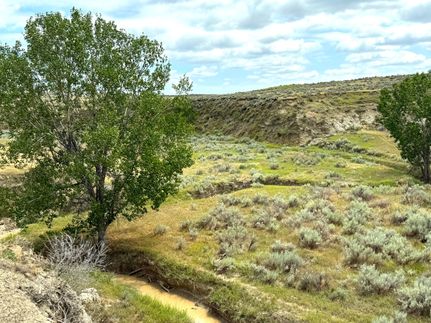 Timberland Property for sale in Custer County, Montana