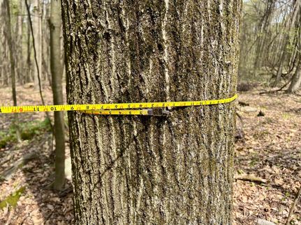 Farm Property in Cambria County, Pennsylvania