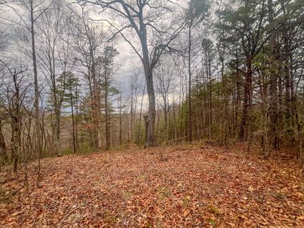 Farm Property for sale in Vinton County, Ohio