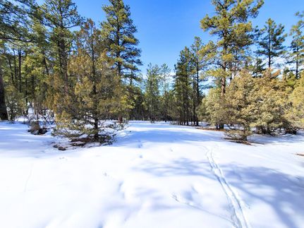Ranch Property for sale in Rio Arriba County, New Mexico