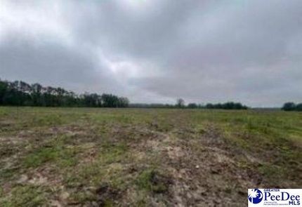 Recreational Property for sale in Darlington County, South Carolina