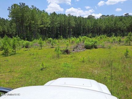 Farm Property for sale in Simpson County, Mississippi